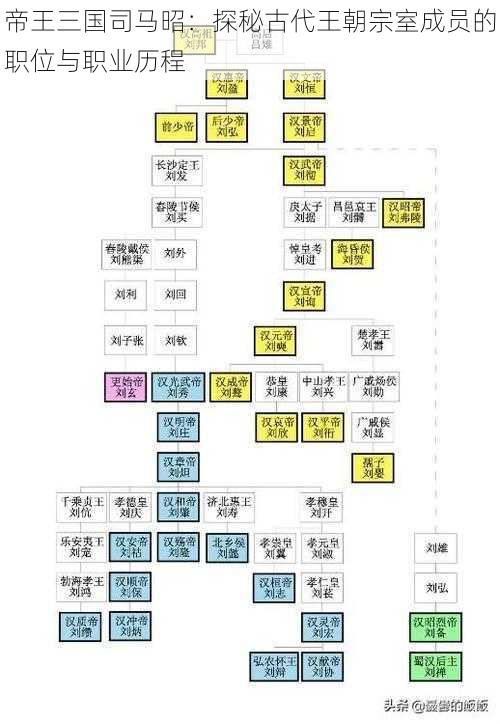 帝王三国司马昭：探秘古代王朝宗室成员的职位与职业历程