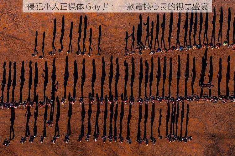 侵犯小太正裸体 Gay 片：一款震撼心灵的视觉盛宴