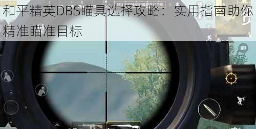 和平精英DBS瞄具选择攻略：实用指南助你精准瞄准目标