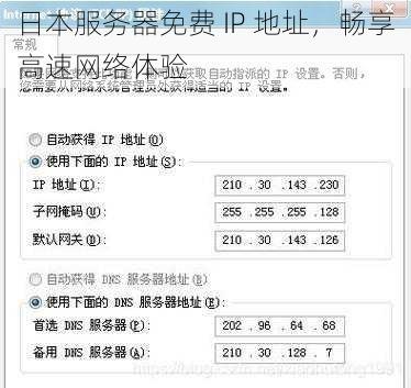 日本服务器免费 IP 地址，畅享高速网络体验