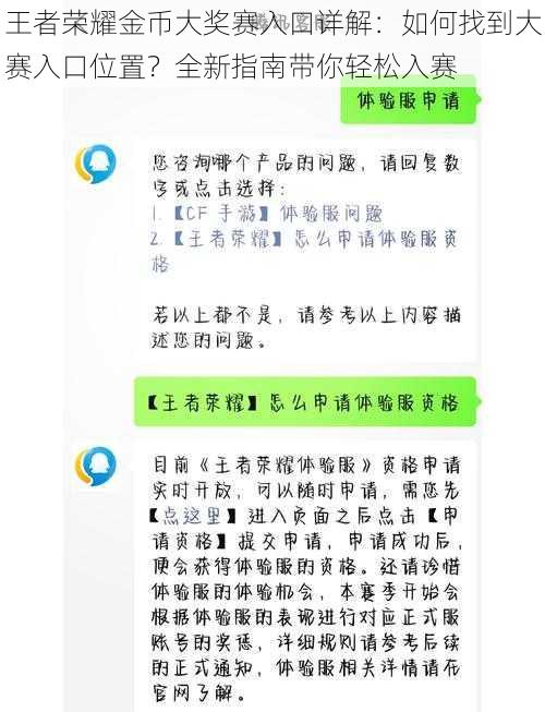 王者荣耀金币大奖赛入口详解：如何找到大赛入口位置？全新指南带你轻松入赛