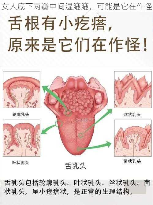 女人底下两瓣中间湿漉漉，可能是它在作怪