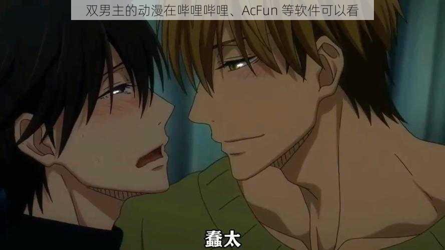 双男主的动漫在哔哩哔哩、AcFun 等软件可以看