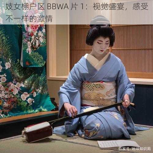 妓女棚户区 BBWA 片 1：视觉盛宴，感受不一样的激情