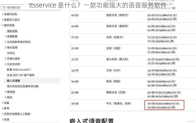 ttsservice 是什么？一款功能强大的语音服务软件