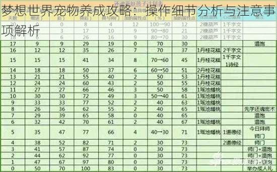 梦想世界宠物养成攻略：操作细节分析与注意事项解析