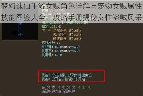 梦幻诛仙手游女贼角色详解与宠物女贼属性技能图鉴大全：攻略手册揭秘女性盗贼风采