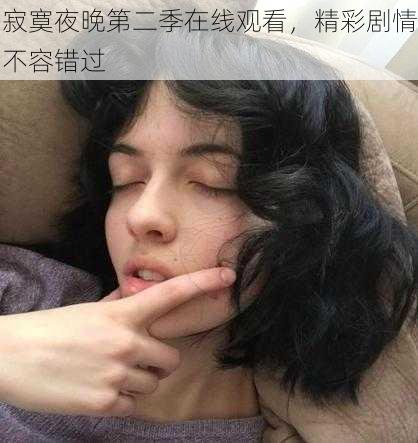 寂寞夜晚第二季在线观看，精彩剧情不容错过