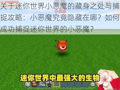 关于迷你世界小恶魔的藏身之处与捕捉攻略：小恶魔究竟隐藏在哪？如何成功捕捉迷你世界的小恶魔？