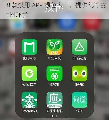 18 款禁用 APP 绿色入口，提供纯净的上网环境