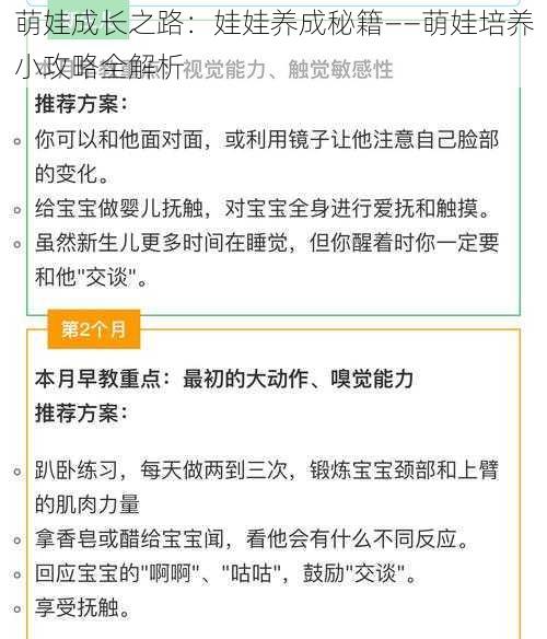 萌娃成长之路：娃娃养成秘籍——萌娃培养小攻略全解析