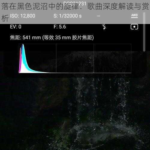 落在黑色泥沼中的旋律：歌曲深度解读与赏析