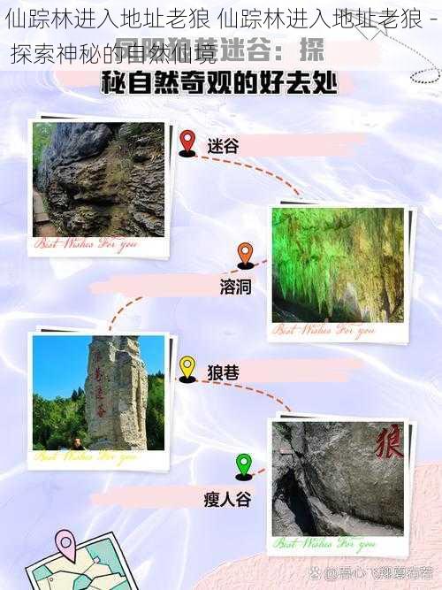 仙踪林进入地址老狼 仙踪林进入地址老狼 - 探索神秘的自然仙境