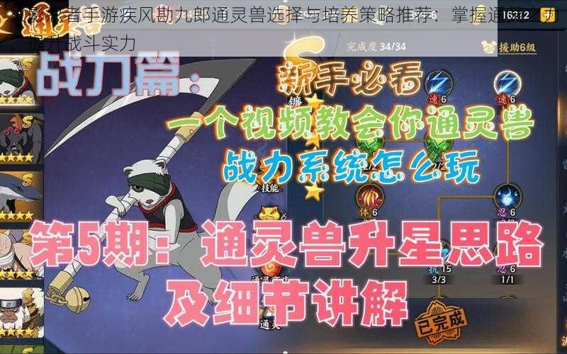 火影忍者手游疾风勘九郎通灵兽选择与培养策略推荐：掌握通灵之力，提升战斗实力