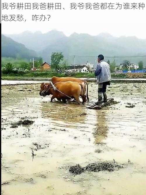 我爷耕田我爸耕田、我爷我爸都在为谁来种地发愁，咋办？