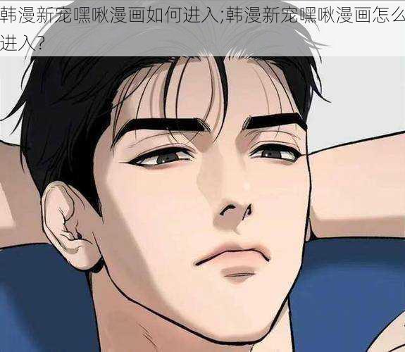 韩漫新宠嘿啾漫画如何进入;韩漫新宠嘿啾漫画怎么进入？