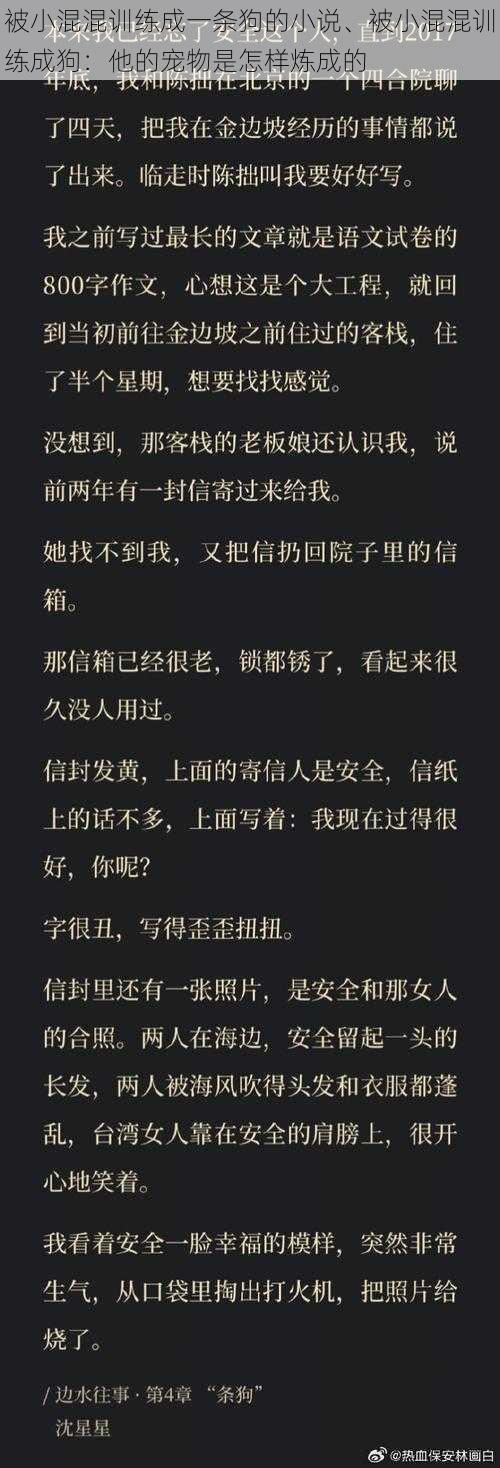 被小混混训练成一条狗的小说、被小混混训练成狗：他的宠物是怎样炼成的