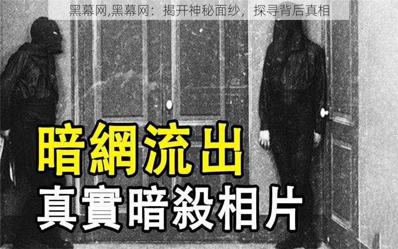 黑幕网,黑幕网：揭开神秘面纱，探寻背后真相