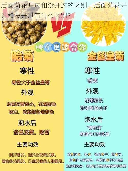 后面菊花开过和没开过的区别、后面菊花开过和没开过有什么区别？