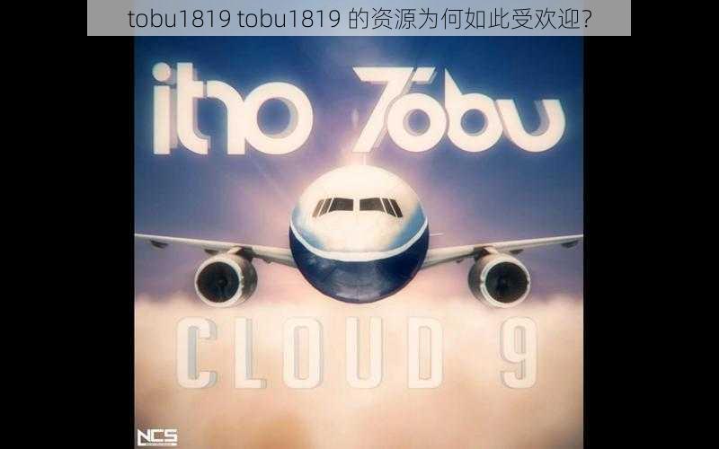 tobu1819 tobu1819 的资源为何如此受欢迎？