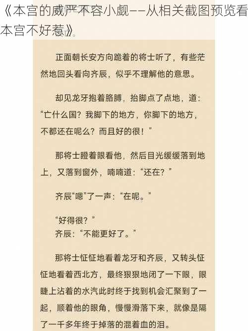 《本宫的威严不容小觑——从相关截图预览看本宫不好惹》