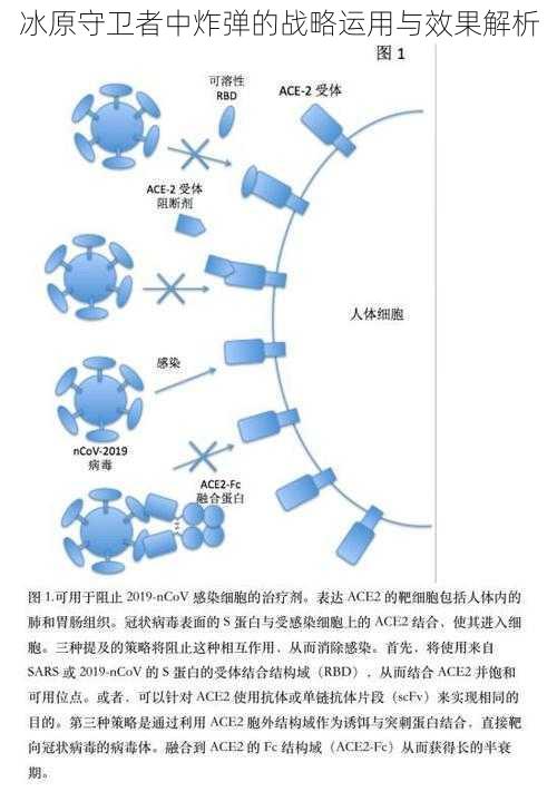 冰原守卫者中炸弹的战略运用与效果解析