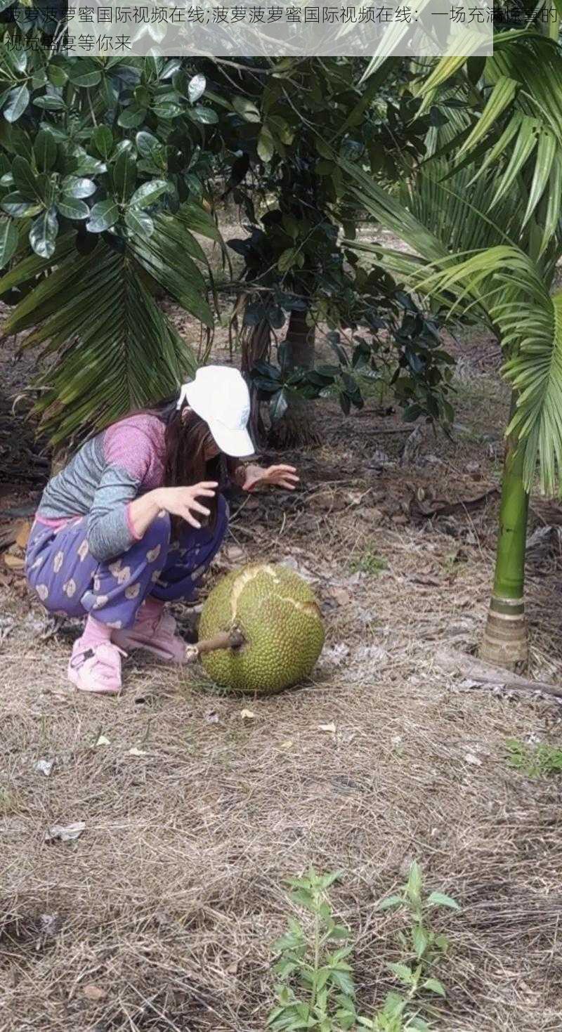 菠萝菠萝蜜国际视频在线;菠萝菠萝蜜国际视频在线：一场充满惊喜的视觉盛宴等你来