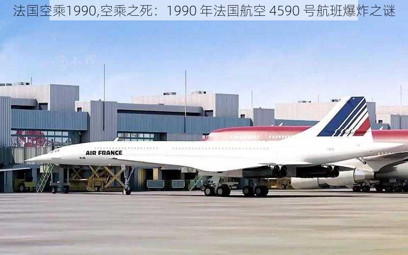 法国空乘1990,空乘之死：1990 年法国航空 4590 号航班爆炸之谜