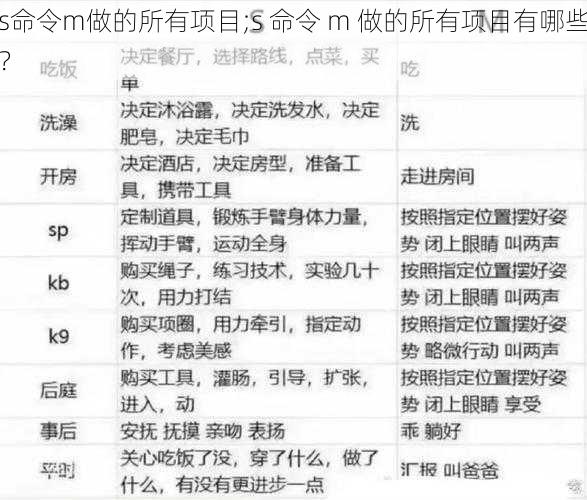 s命令m做的所有项目;s 命令 m 做的所有项目有哪些？