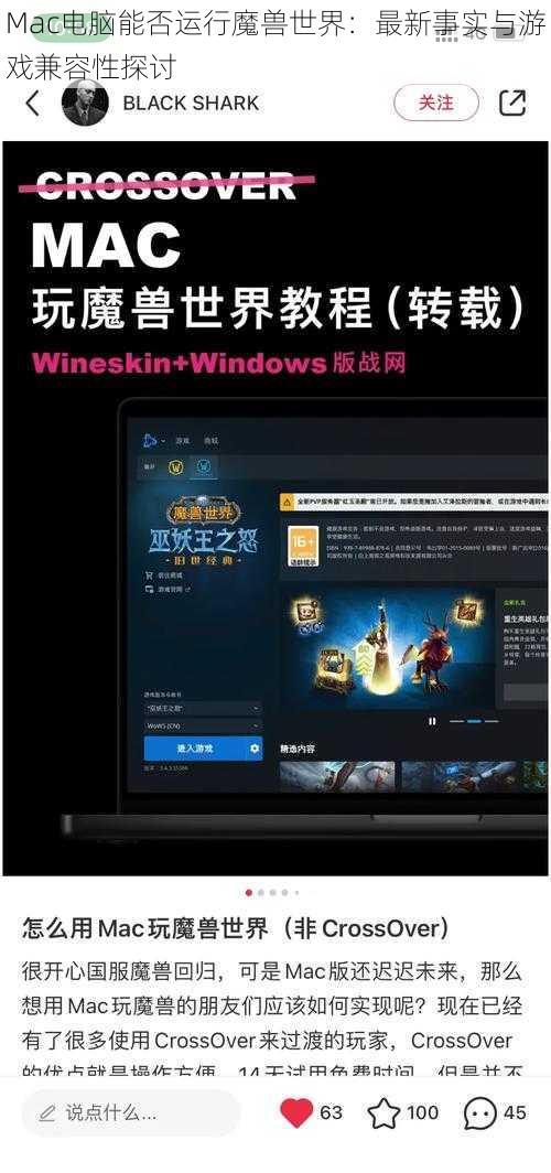 Mac电脑能否运行魔兽世界：最新事实与游戏兼容性探讨