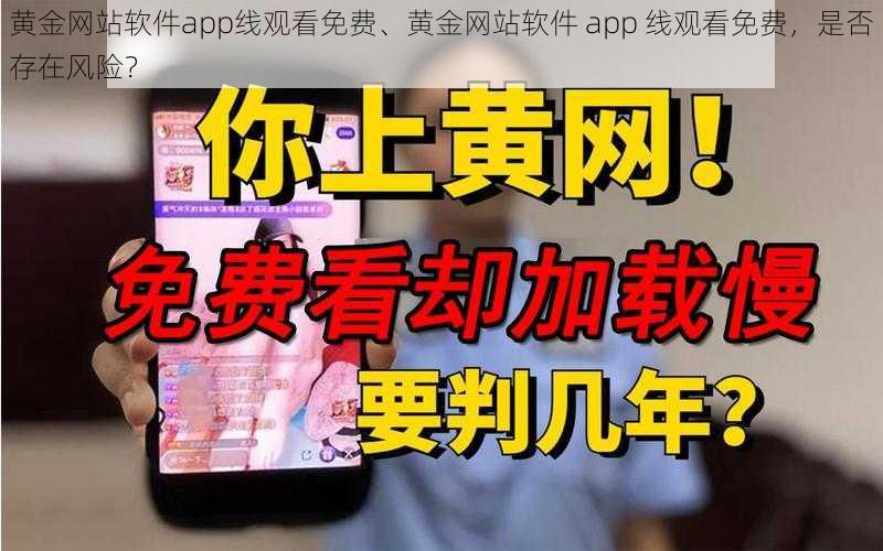 黄金网站软件app线观看免费、黄金网站软件 app 线观看免费，是否存在风险？