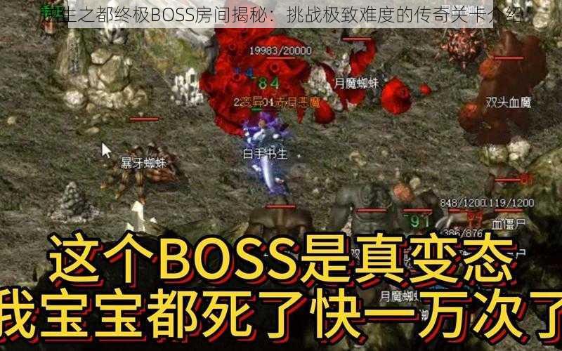 逆生之都终极BOSS房间揭秘：挑战极致难度的传奇关卡介绍