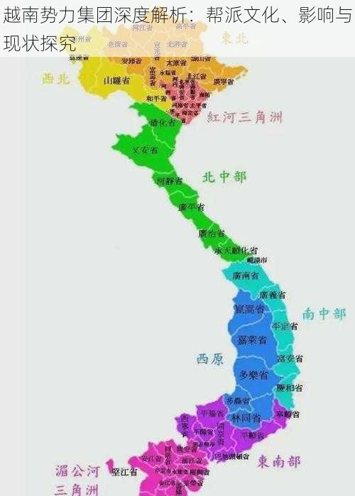 越南势力集团深度解析：帮派文化、影响与现状探究