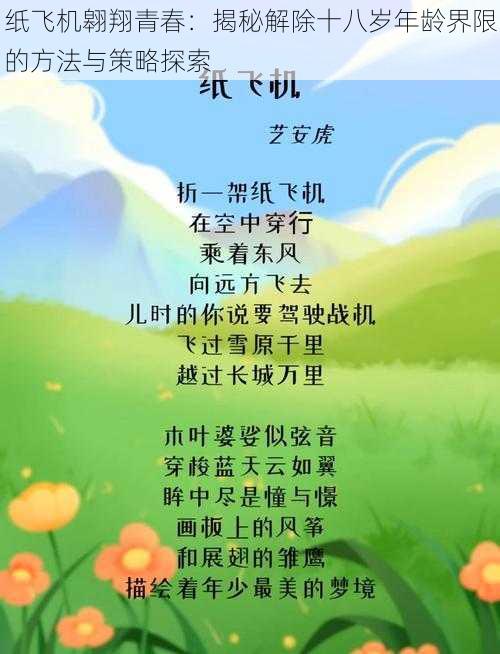 纸飞机翱翔青春：揭秘解除十八岁年龄界限的方法与策略探索