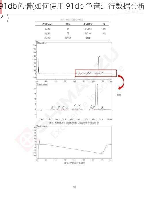 91db色谱(如何使用 91db 色谱进行数据分析？)