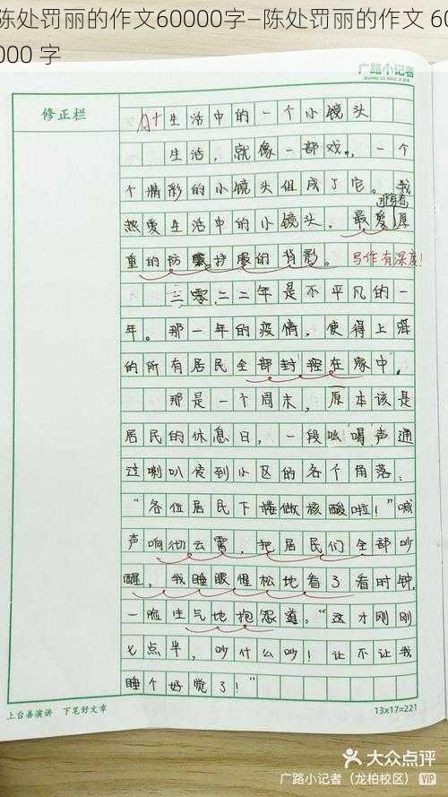 陈处罚丽的作文60000字—陈处罚丽的作文 60000 字