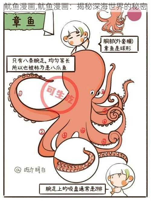 鱿鱼漫画,鱿鱼漫画：揭秘深海世界的秘密