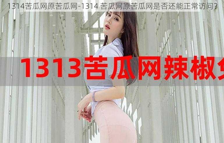 1314苦瓜网原苦瓜网-1314 苦瓜网原苦瓜网是否还能正常访问？