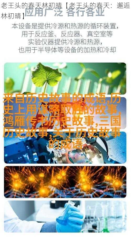 老王头的春天林初晴【老王头的春天：邂逅林初晴】