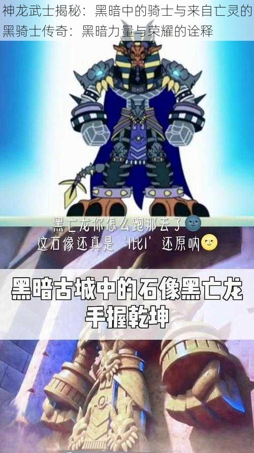 神龙武士揭秘：黑暗中的骑士与来自亡灵的黑骑士传奇：黑暗力量与荣耀的诠释