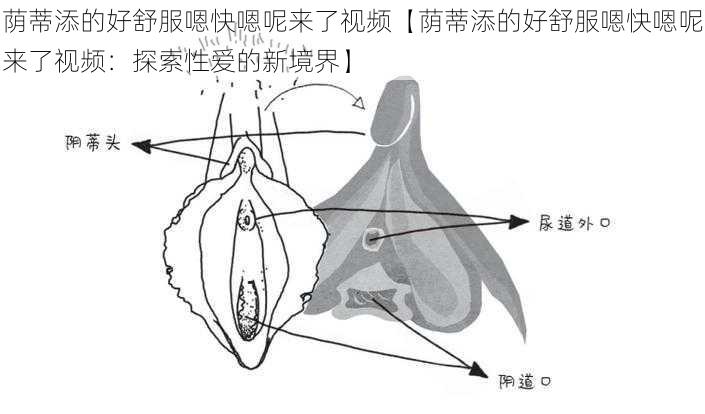 荫蒂添的好舒服嗯快嗯呢来了视频【荫蒂添的好舒服嗯快嗯呢来了视频：探索性爱的新境界】