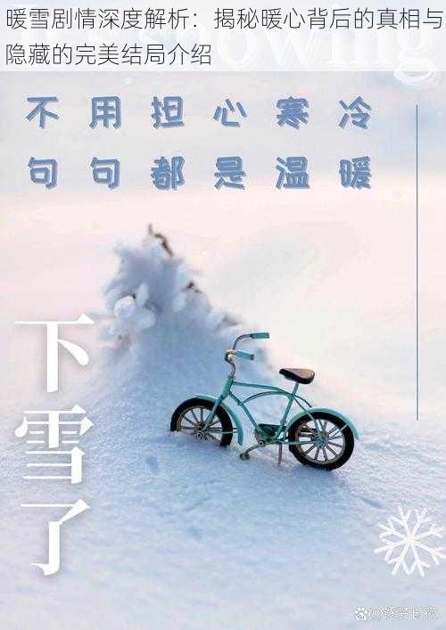 暖雪剧情深度解析：揭秘暖心背后的真相与隐藏的完美结局介绍