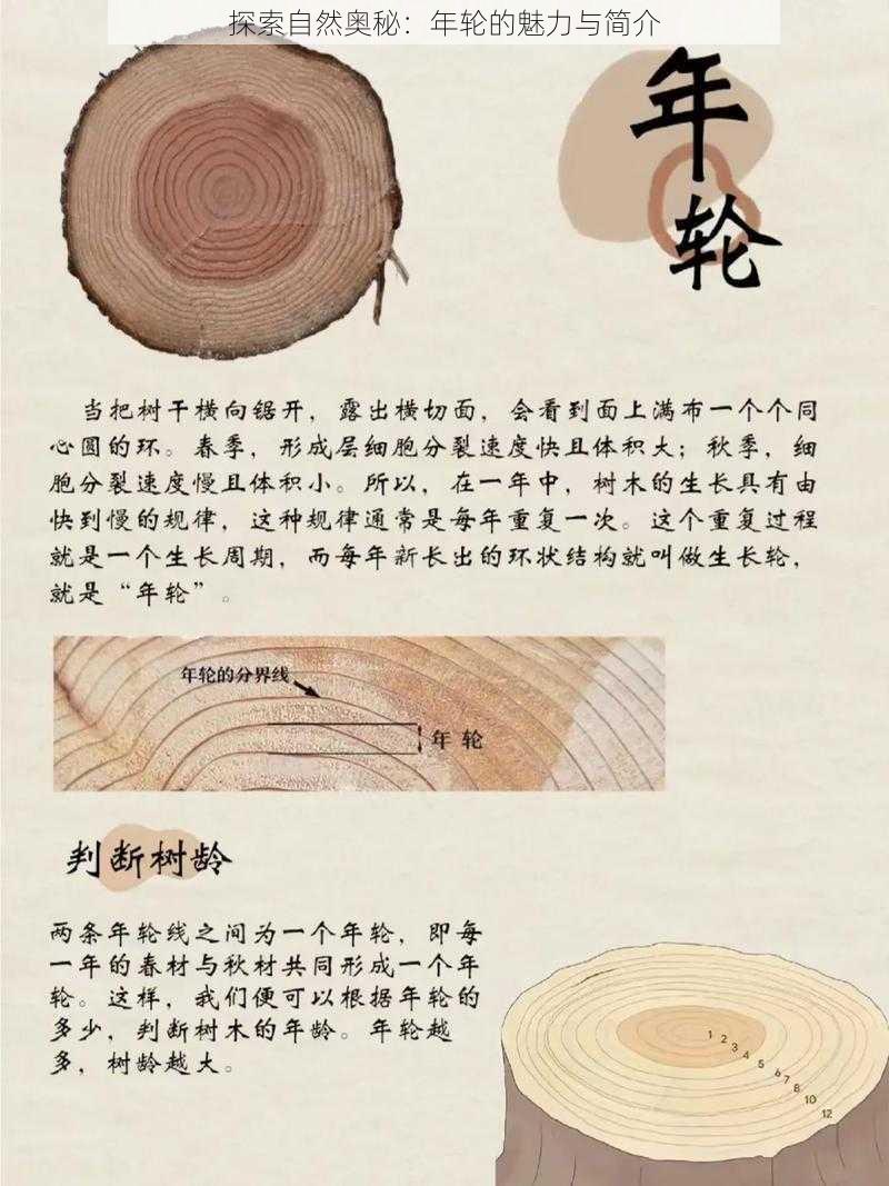 探索自然奥秘：年轮的魅力与简介