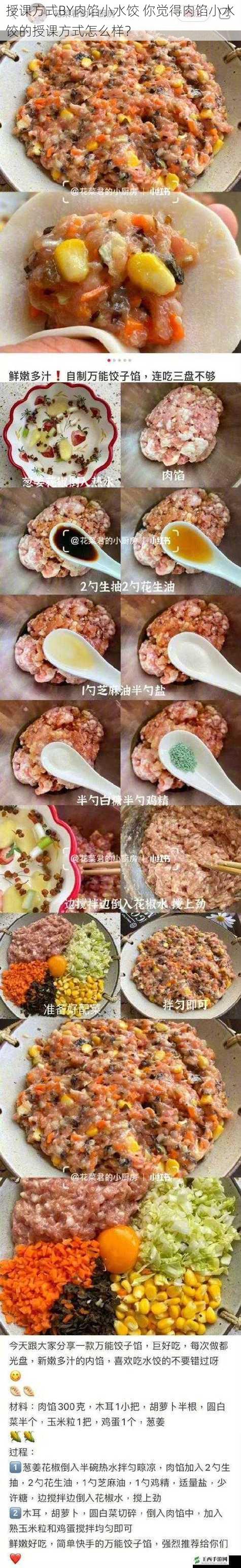 授课方式BY肉馅小水饺 你觉得肉馅小水饺的授课方式怎么样？