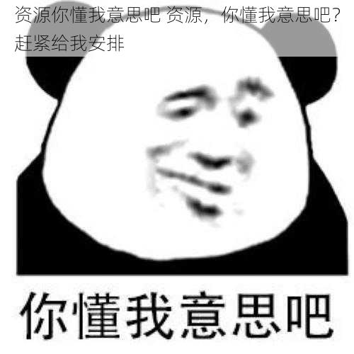 资源你懂我意思吧 资源，你懂我意思吧？赶紧给我安排