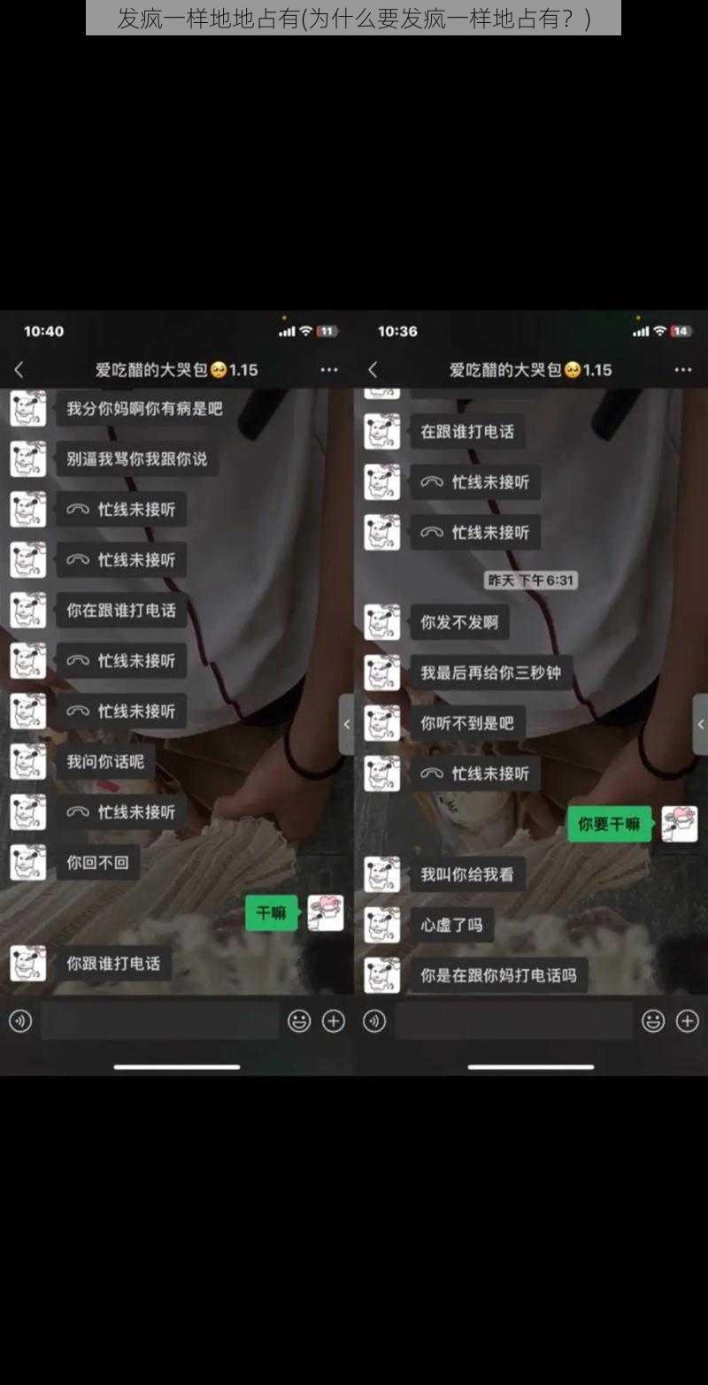 发疯一样地地占有(为什么要发疯一样地占有？)