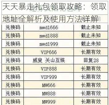 天天暴走礼包领取攻略：领取地址全解析及使用方法详解