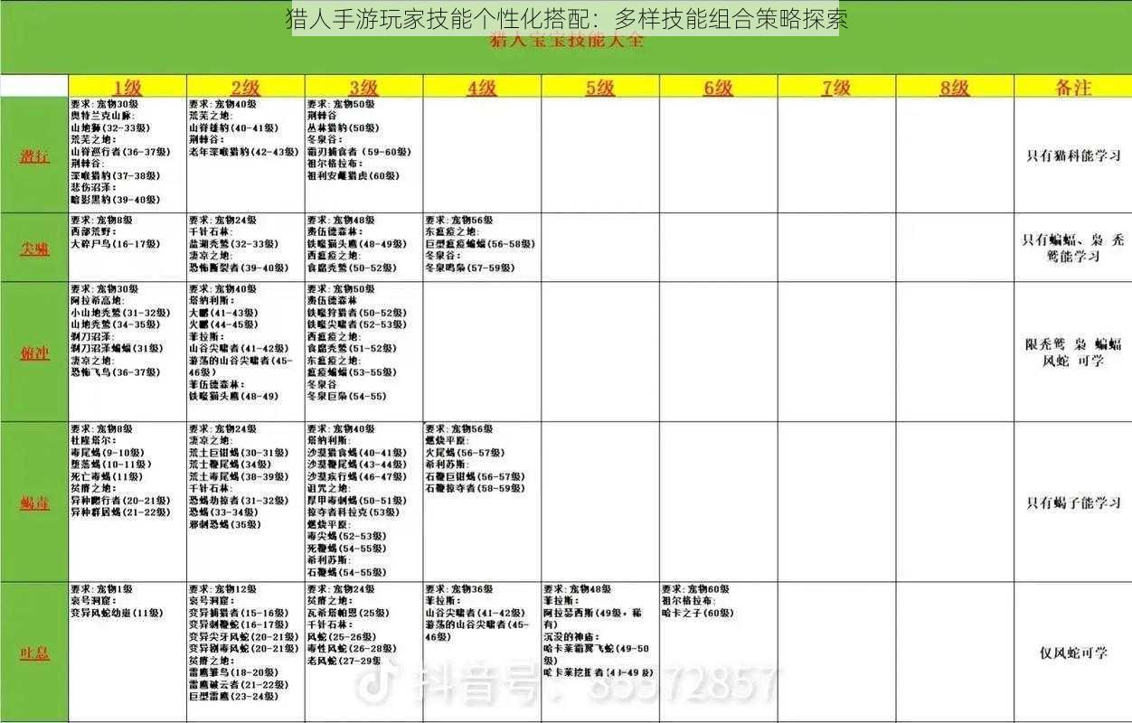 猎人手游玩家技能个性化搭配：多样技能组合策略探索