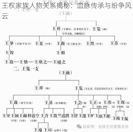 王权家族人物关系揭秘：血脉传承与纷争风云