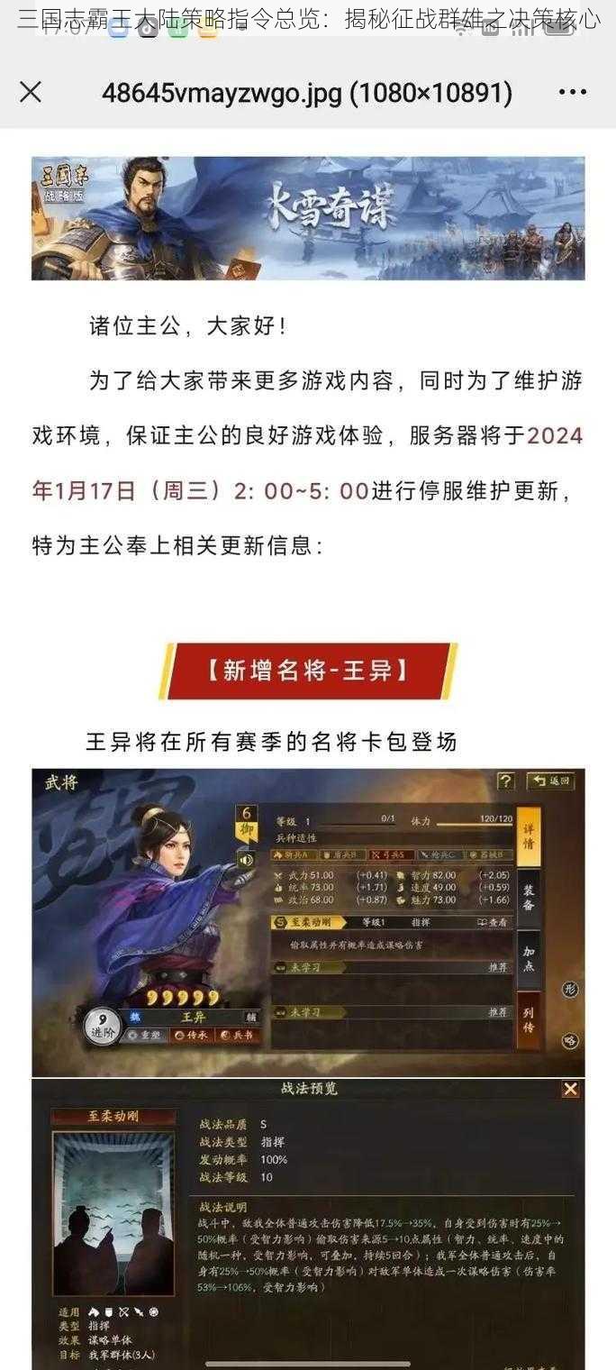 三国志霸王大陆策略指令总览：揭秘征战群雄之决策核心